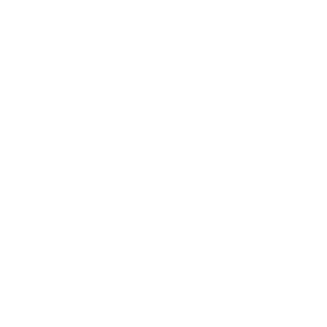 SE Electronics